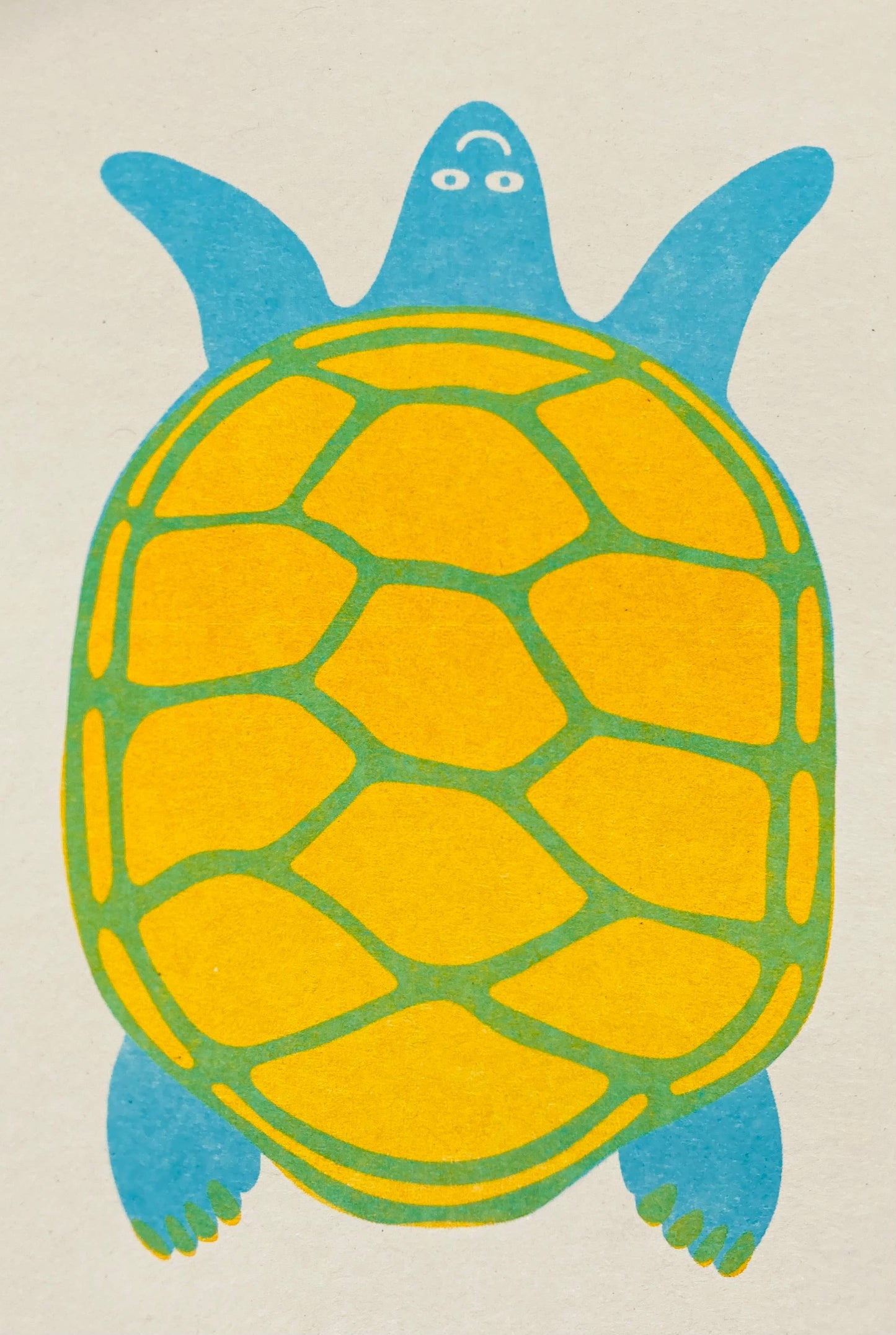 Riso Greetings Card -Turtle