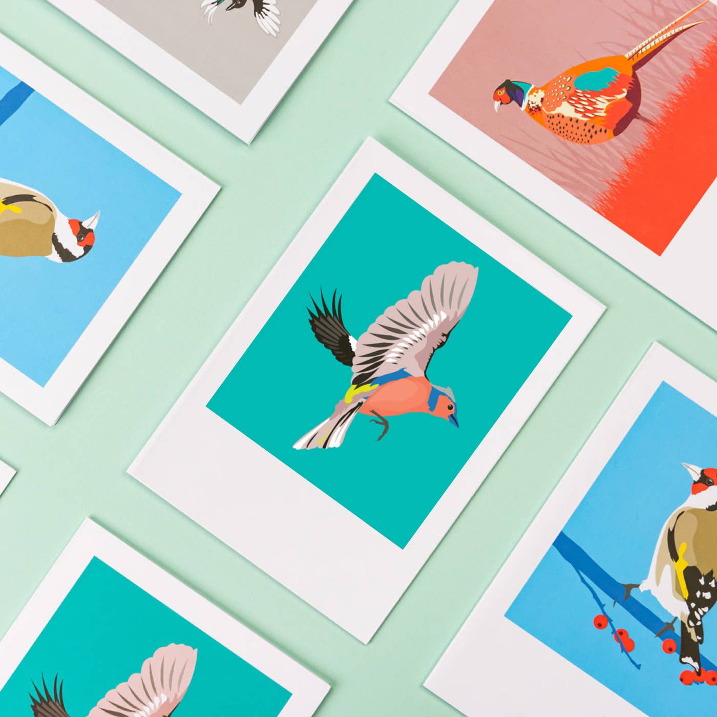 Chaffinch Greeting Card