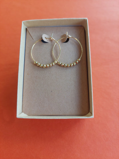 Hoop Earings