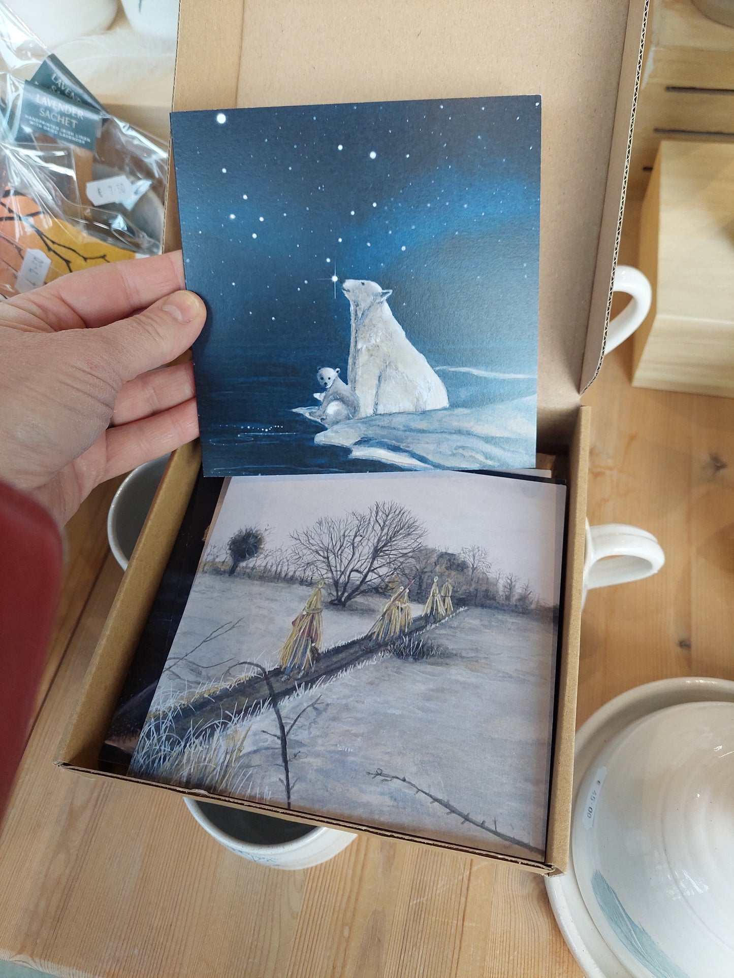 Winter Cards (For a Fragile Planet) by Enagh Farrell