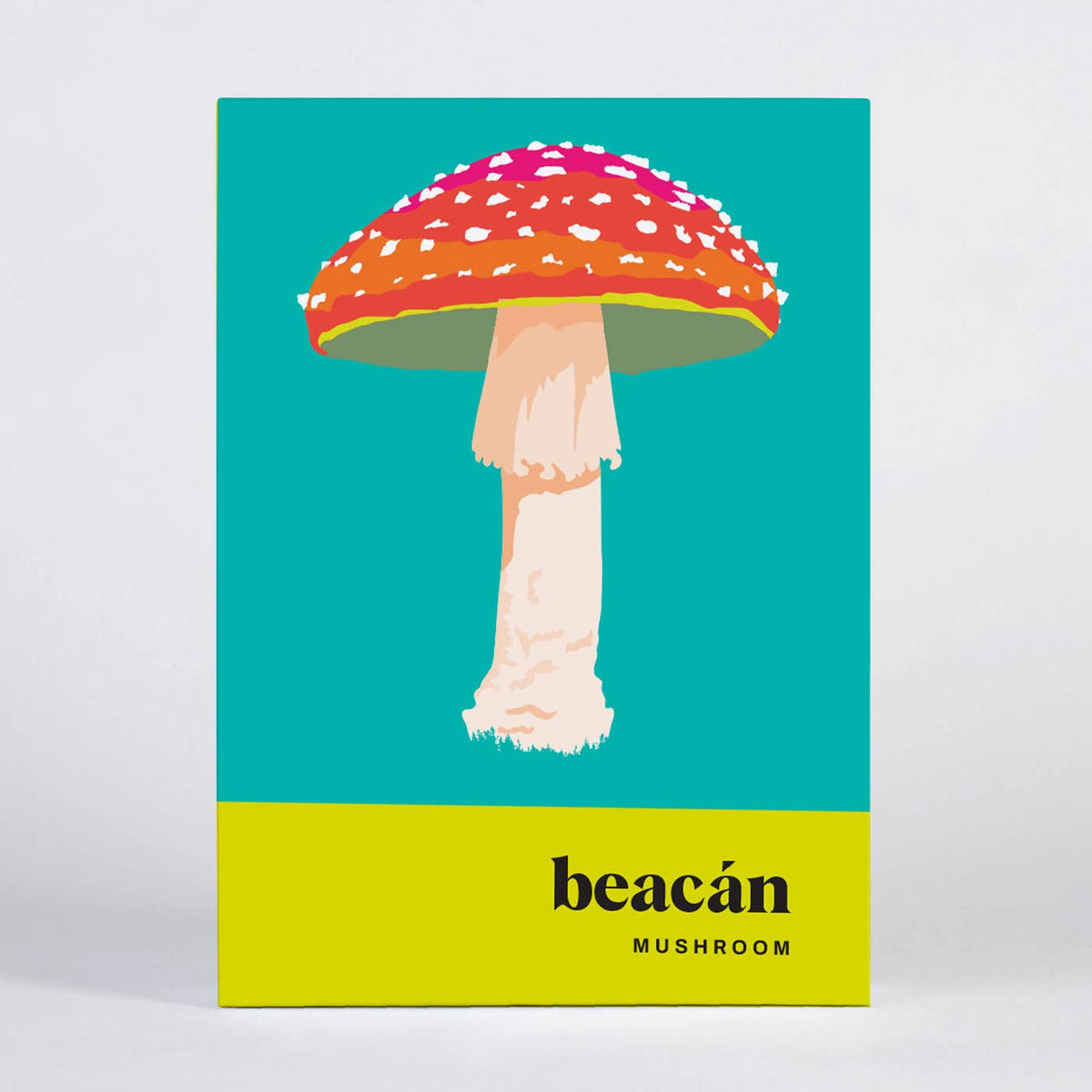 Mushroom Greeting Card Box