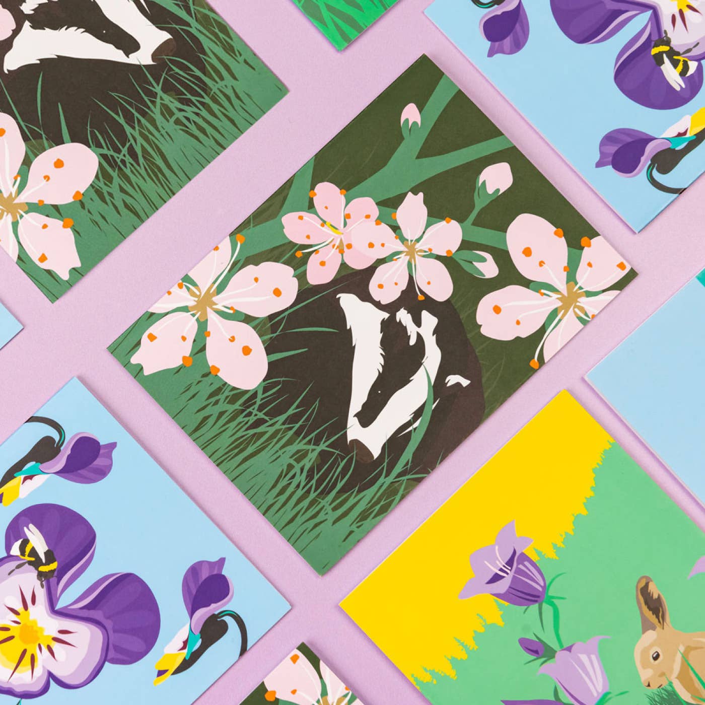 Wild Greeting Card Box