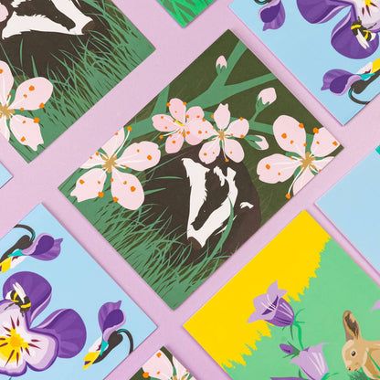 Wild Greeting Card Box