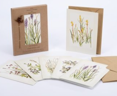 Wildflowers in Irish Bogs Card Set