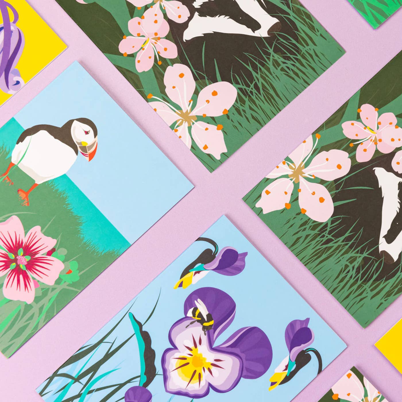 Wild Greeting Card Box