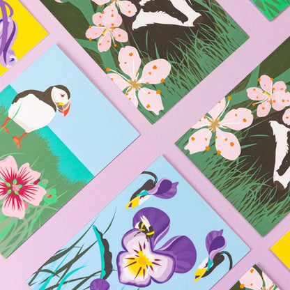Wild Greeting Card Box