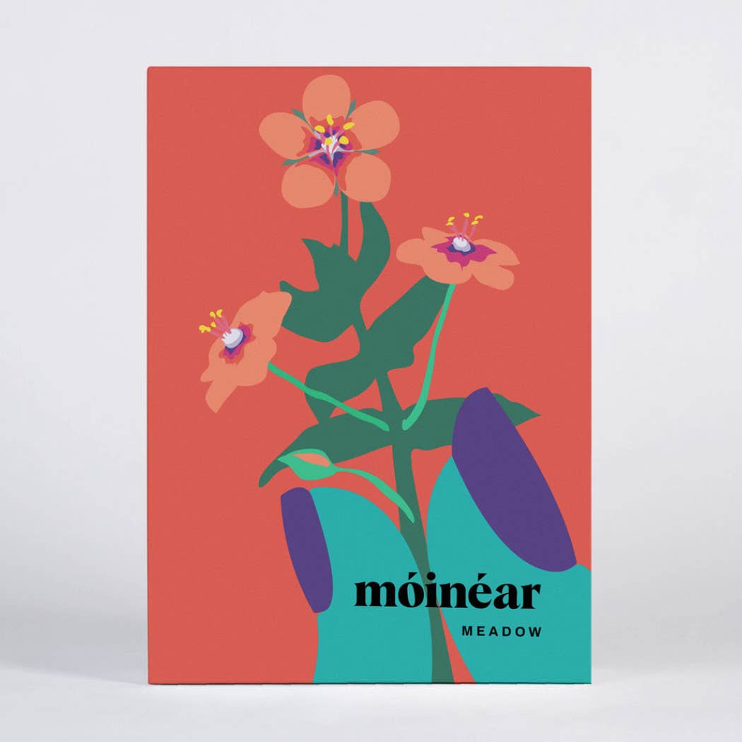 Meadow Greeting Card Box