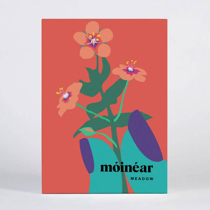 Meadow Greeting Card Box