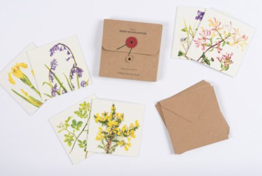 Irish Wildflowers Card Set