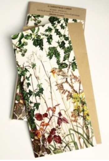 Kilcoe Christmas Card Set Robin/ Spideog