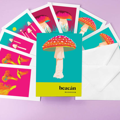 Mushroom Greeting Card Box