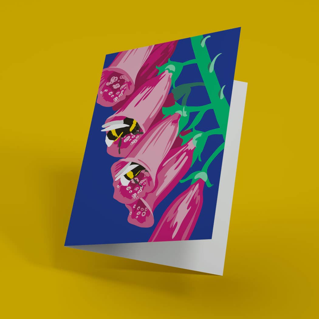 Meadow Greeting Card Box