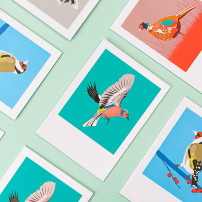 Chaffinch Greeting Card