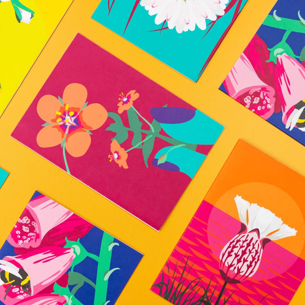 Meadow Greeting Card Box