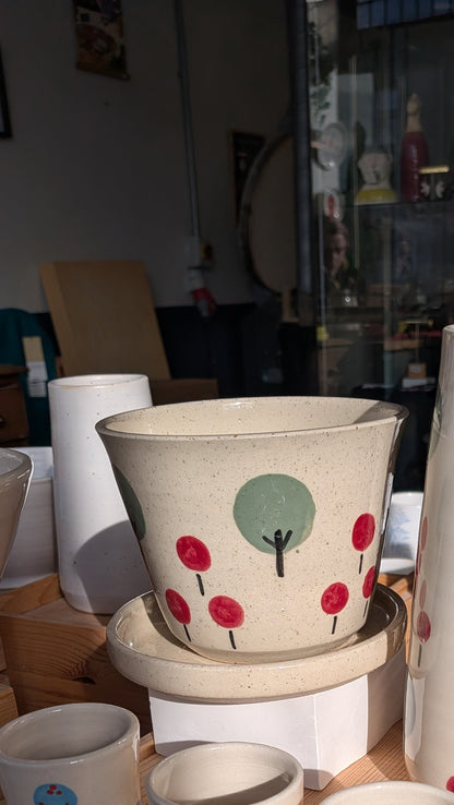 Park Life Plant Pot & Saucer